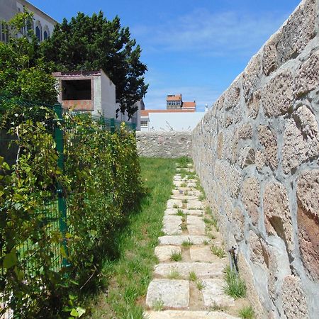 Liiiving In Porto | Central Garden Flat Ngoại thất bức ảnh